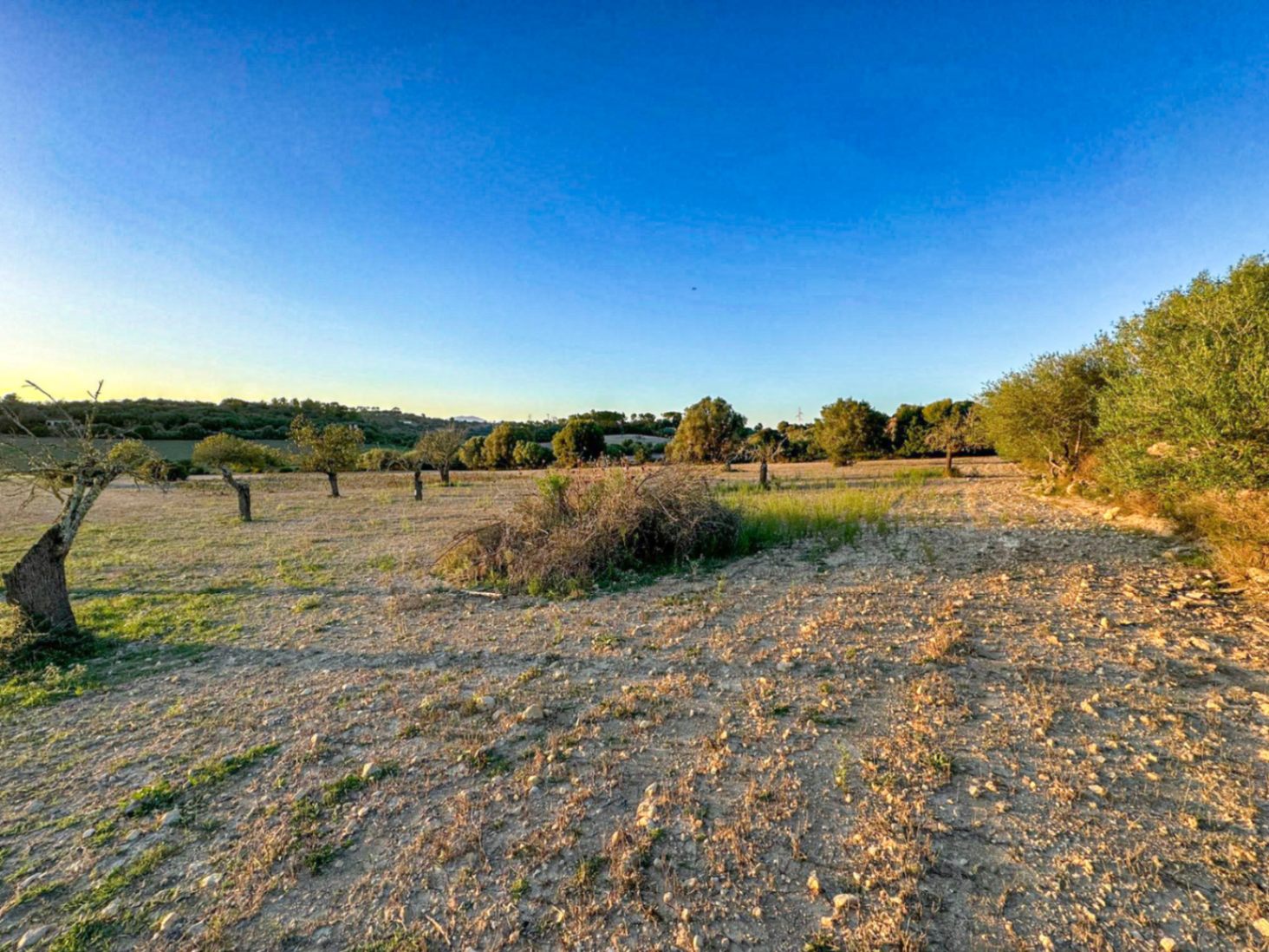 Terreno Rústico con Proyecto Básico en Hermoso Entorno Rural, Sineu.