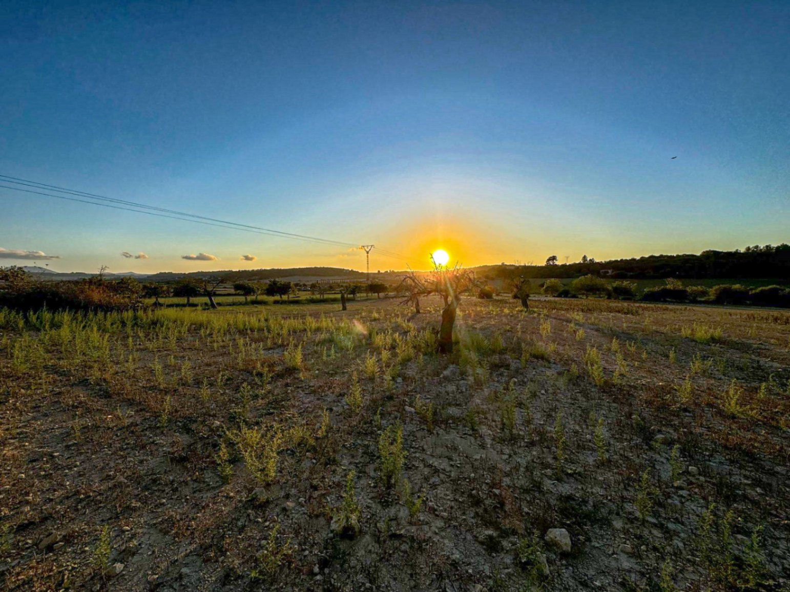 Terreno Rústico con Proyecto Básico en Hermoso Entorno Rural, Sineu.