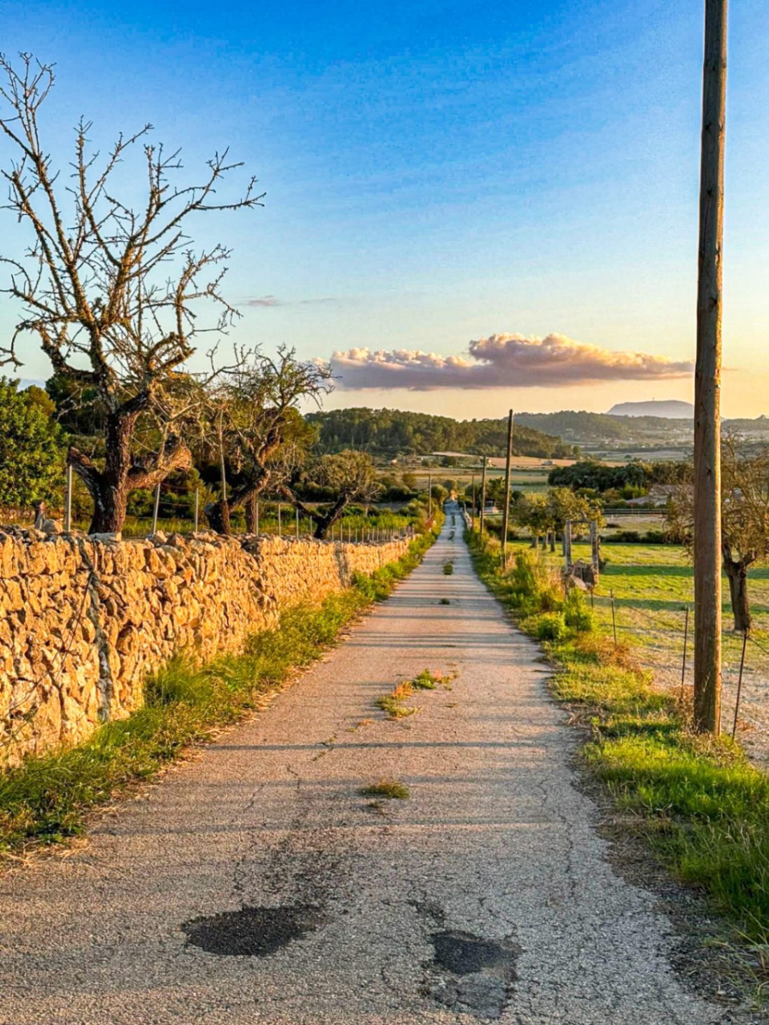 Terreno Rústico con Proyecto Básico en Hermoso Entorno Rural, Sineu.
