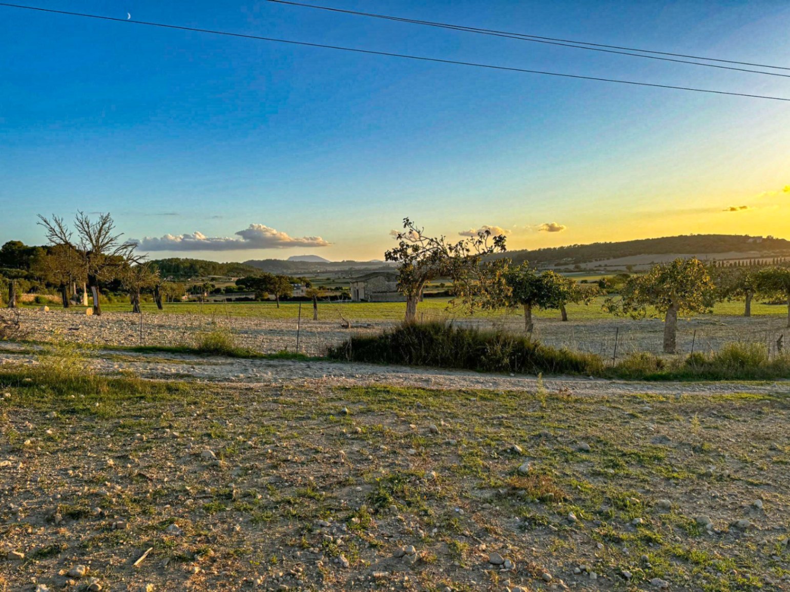 Terreno Rústico con Proyecto Básico en Hermoso Entorno Rural, Sineu.