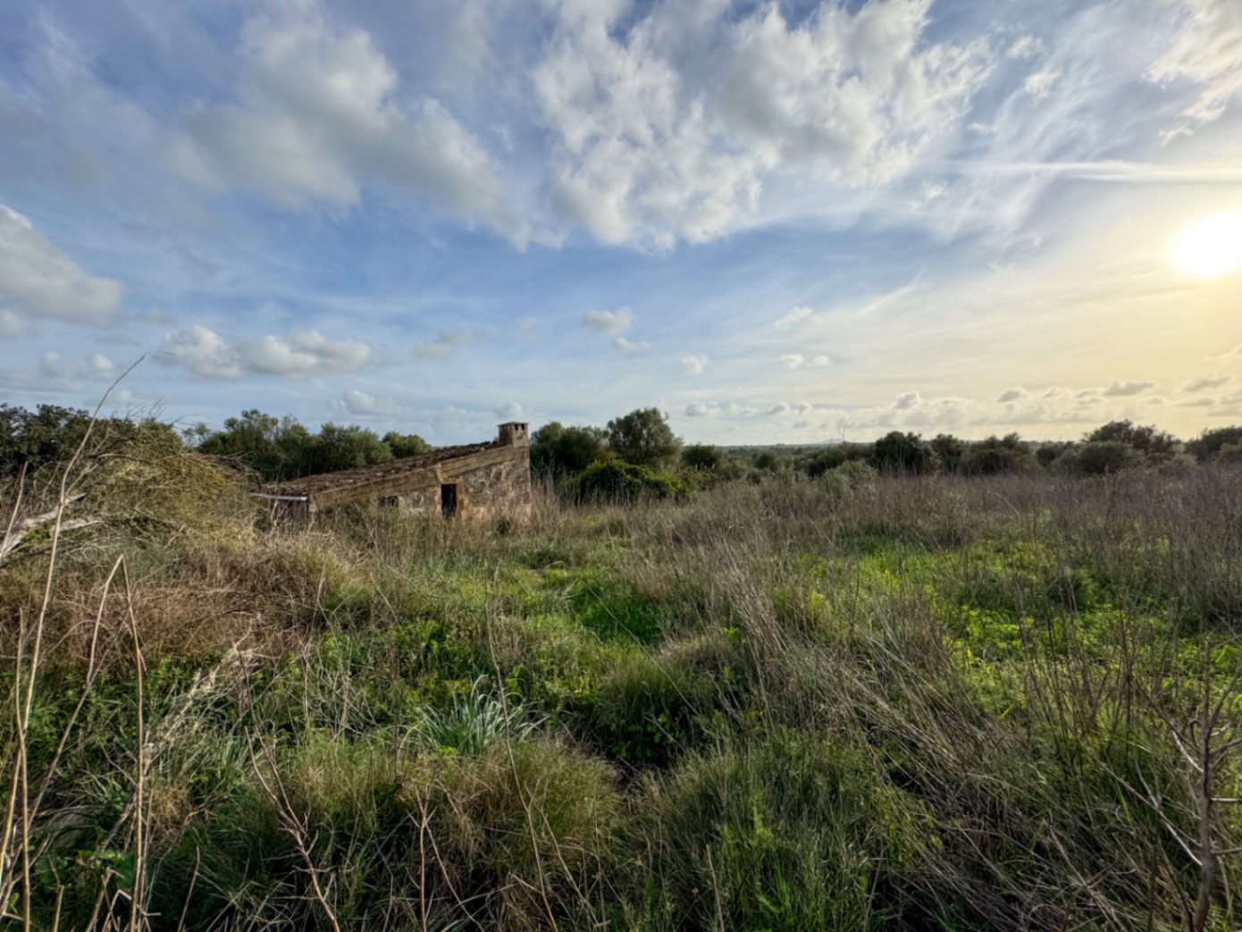 Hermosa parcela rústica edificable con impresionantes vistas panorámicas, ubicada en Santa Margalida.