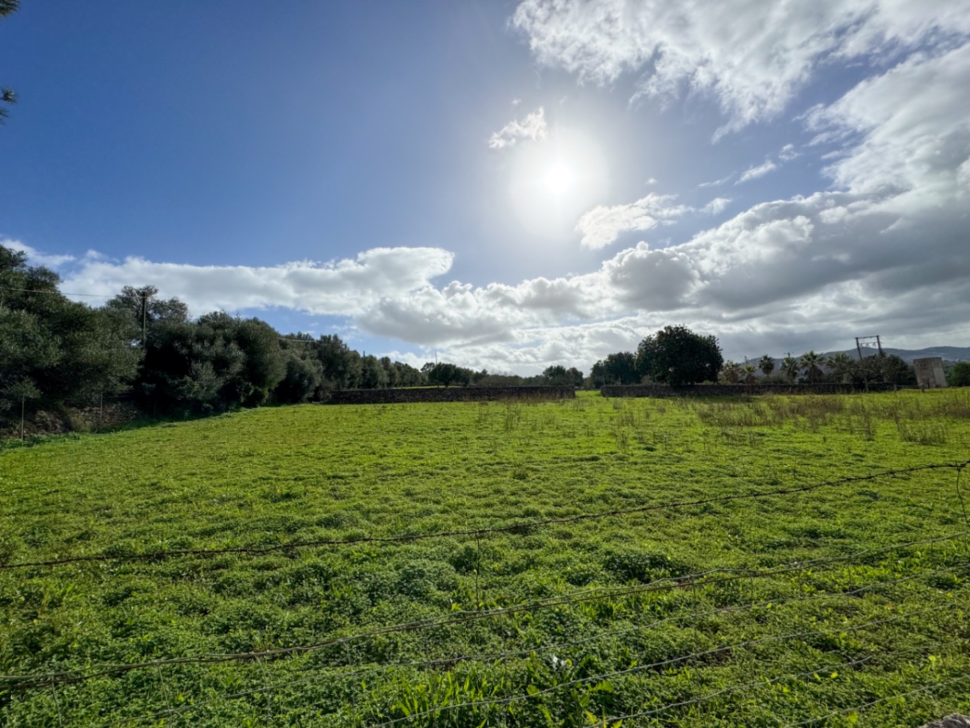 Tolle rustikale Finca mit Renovierungsprojekt und Panoramablick auf Manacor.