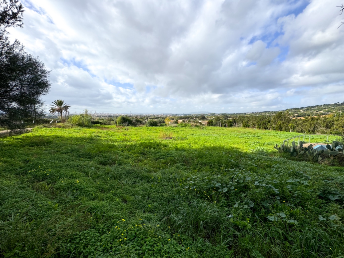 Tolle rustikale Finca mit Renovierungsprojekt und Panoramablick auf Manacor.