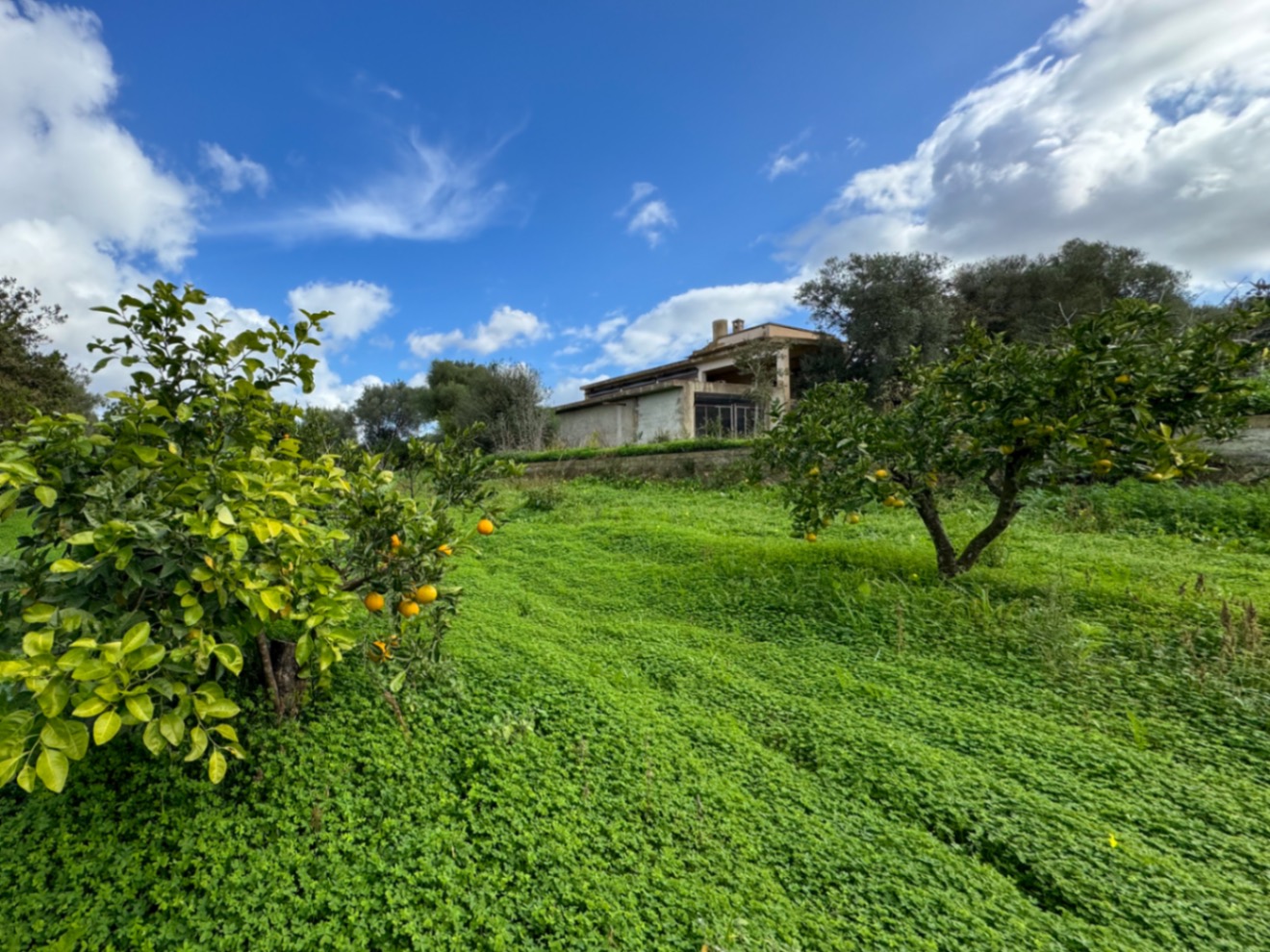 Tolle rustikale Finca mit Renovierungsprojekt und Panoramablick auf Manacor.
