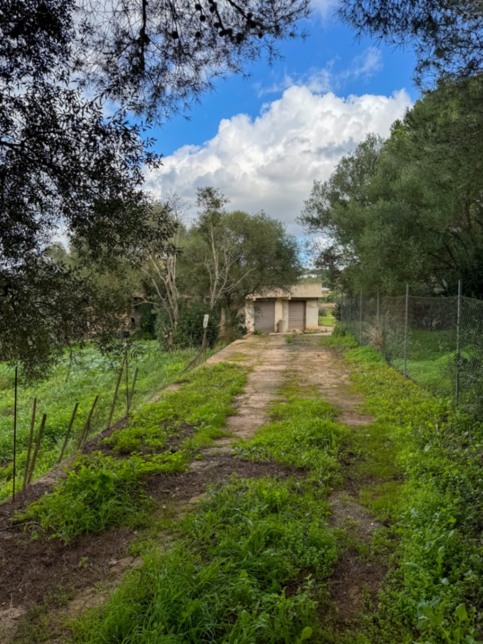 Tolle rustikale Finca mit Renovierungsprojekt und Panoramablick auf Manacor.
