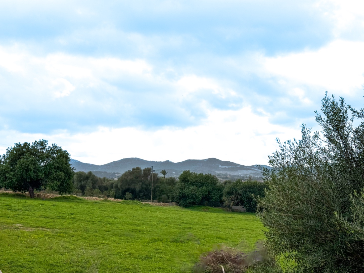 Tolle rustikale Finca mit Renovierungsprojekt und Panoramablick auf Manacor.