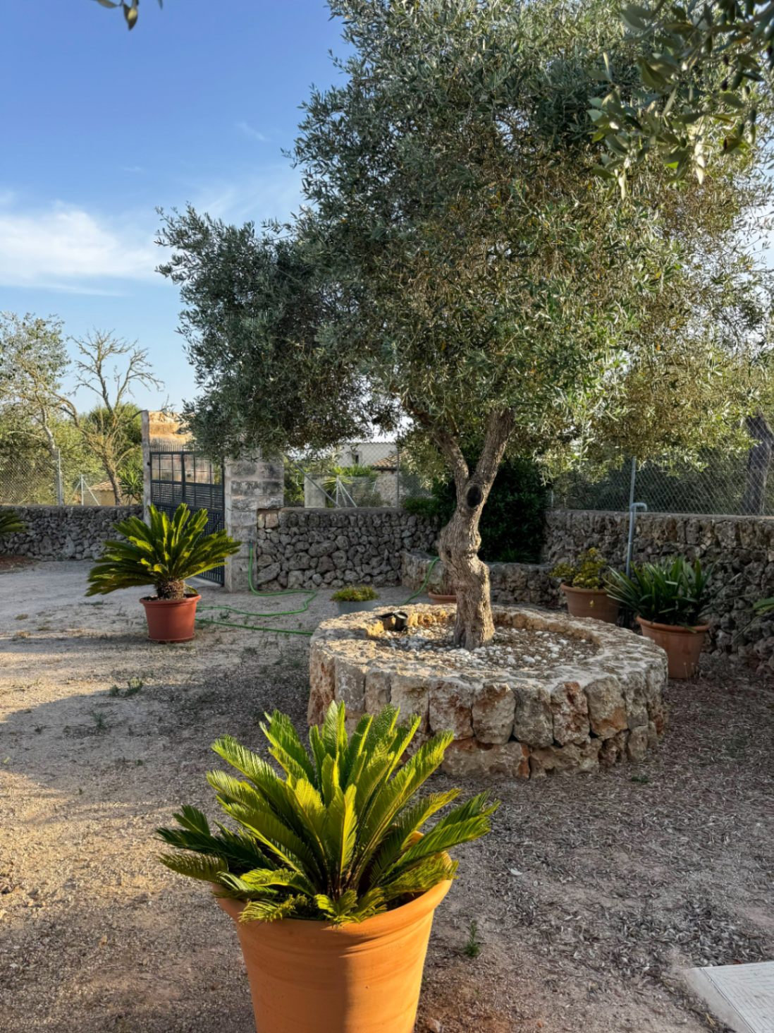 Encantadora casa rústica y romántica en Santa Margalida