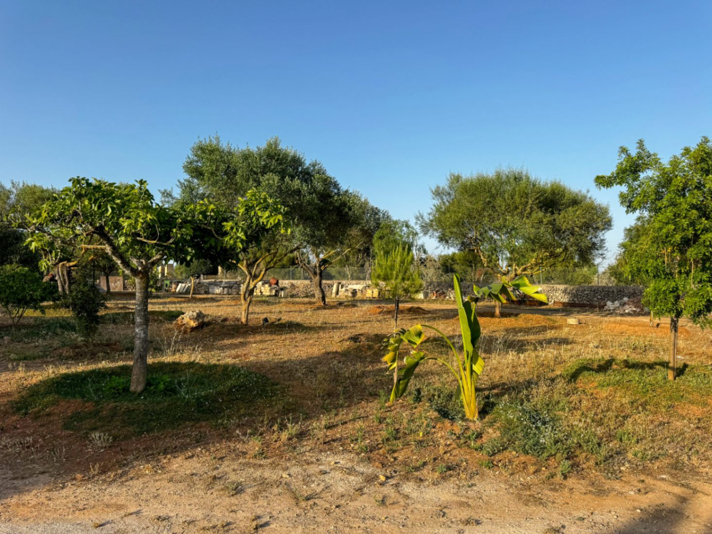 Encantadora casa rústica y romántica en Santa Margalida