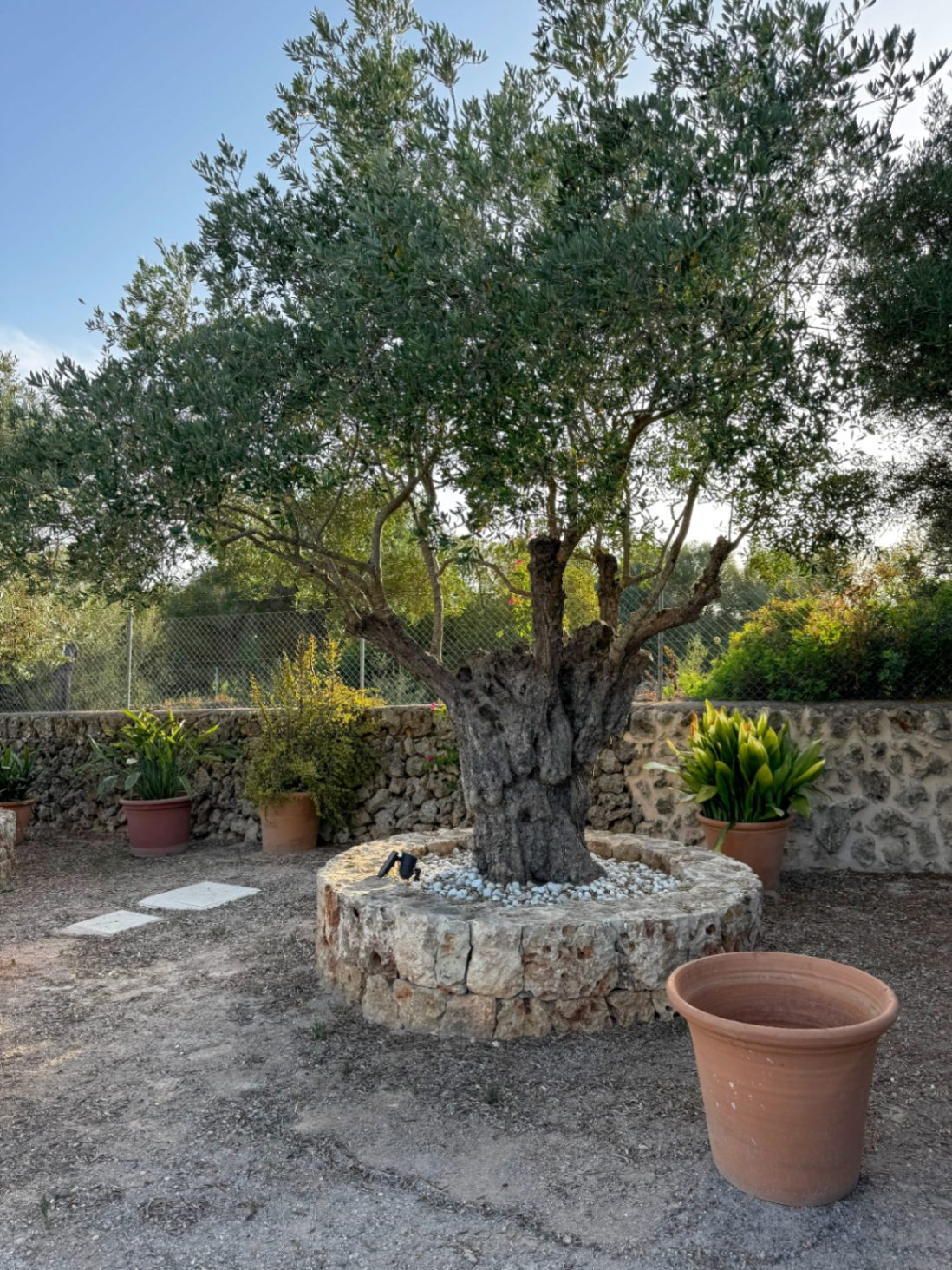 Encantadora casa rústica y romántica en Santa Margalida