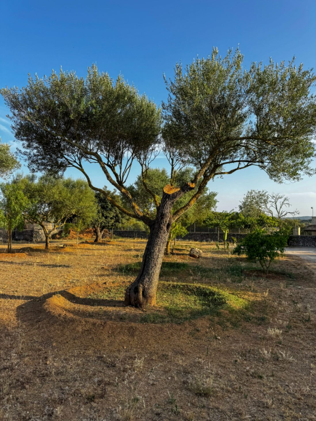 Encantadora casa rústica y romántica en Santa Margalida