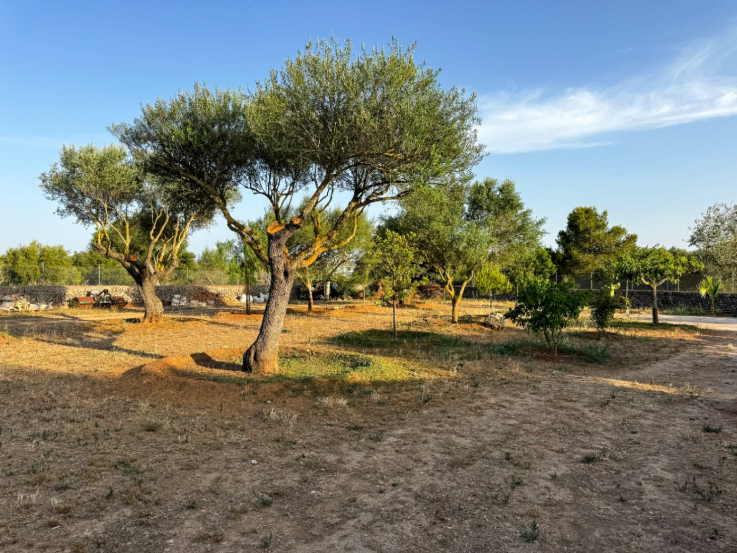 Encantadora casa rústica y romántica en Santa Margalida