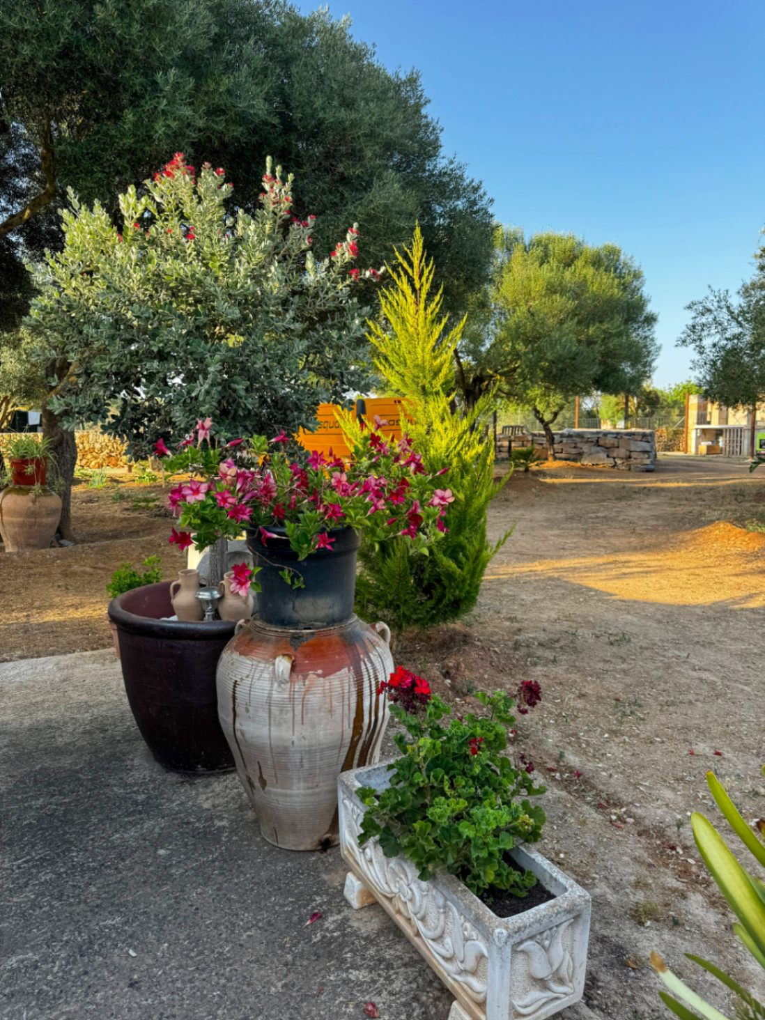 Encantadora casa rústica y romántica en Santa Margalida