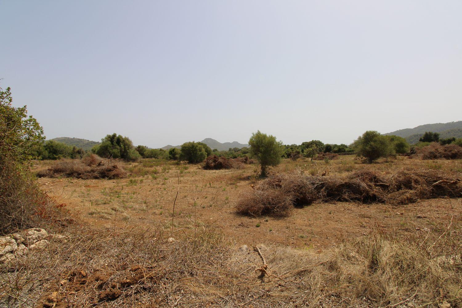 Bonita Finca rustica cerca del Pueblo de Arta.