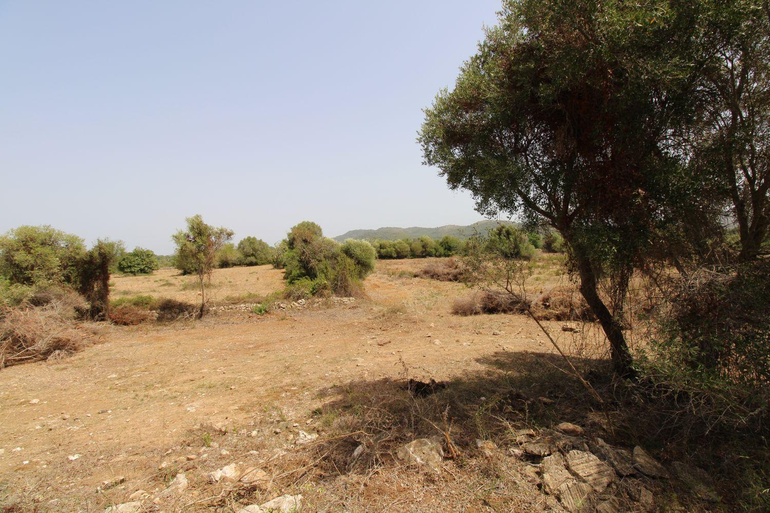 Bonita Finca rustica cerca del Pueblo de Arta.