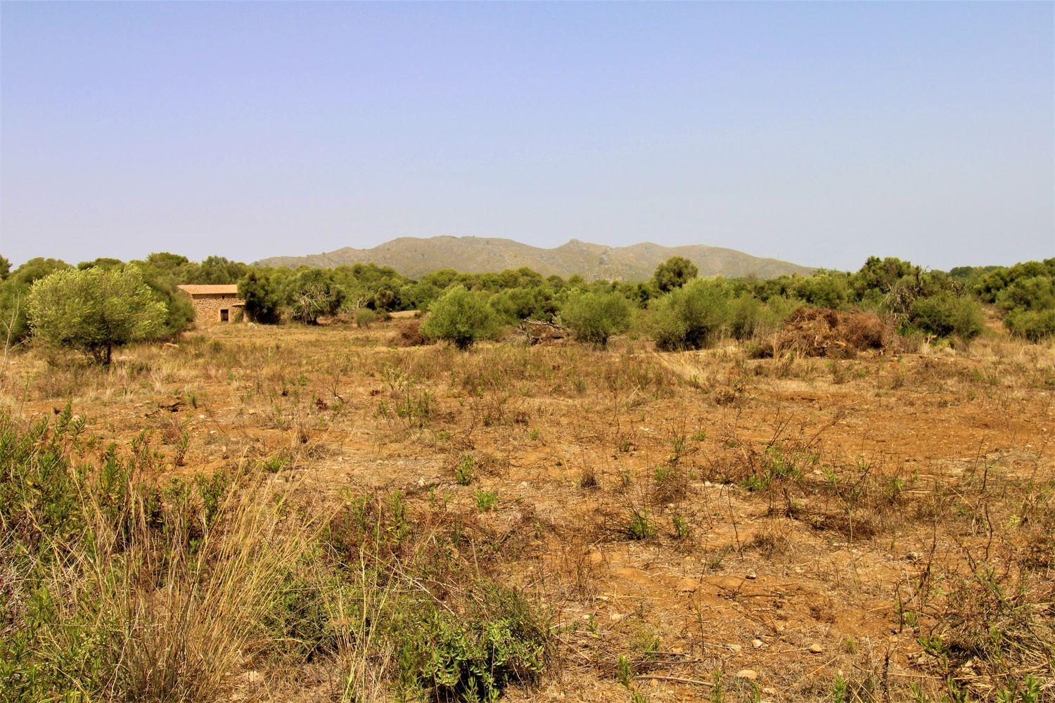 Bonita Finca rustica cerca del Pueblo de Arta.