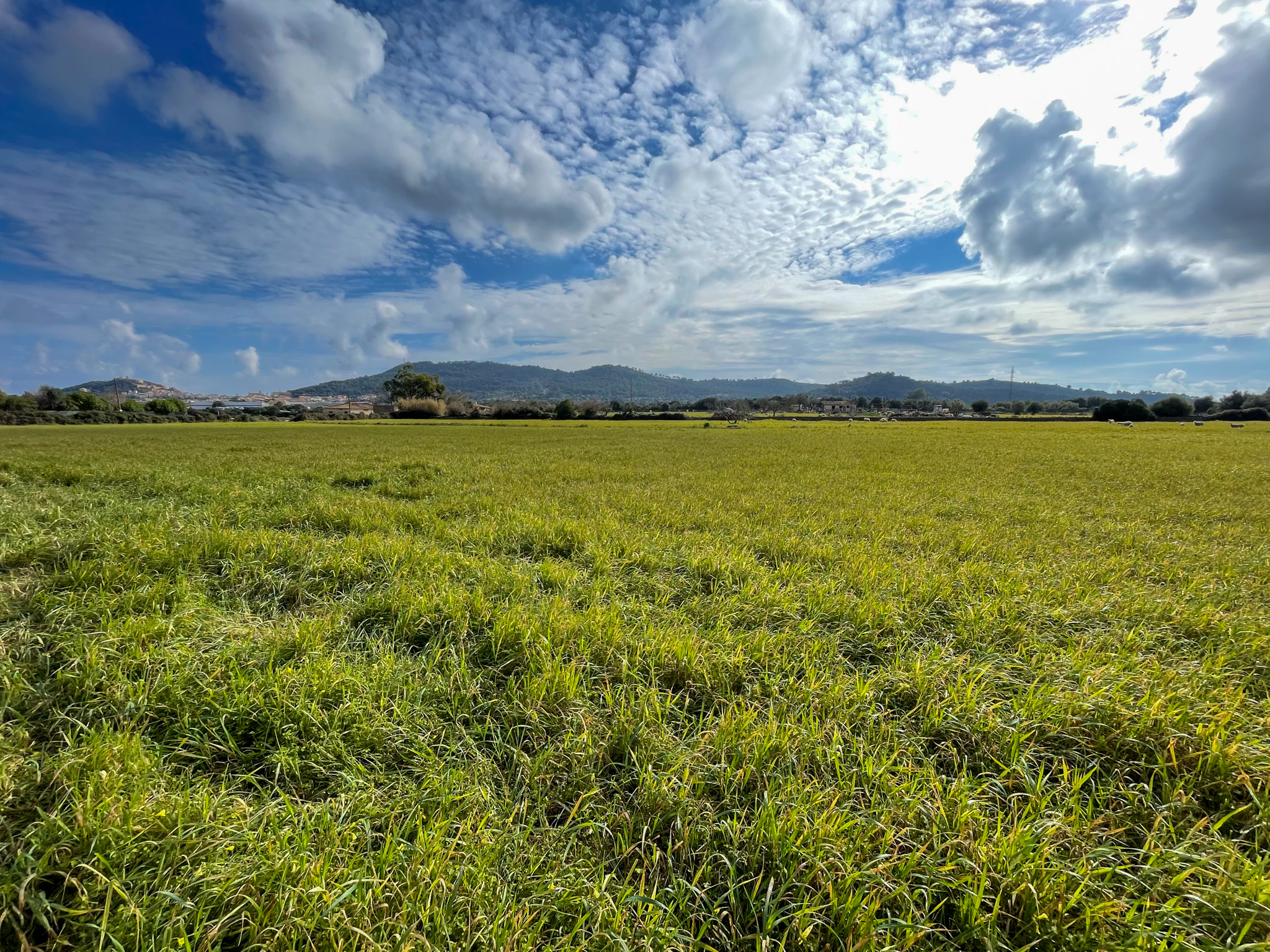 Preciosa finca rústica con impresionantes vistas en las afueras de la ciudad de Capdepera.