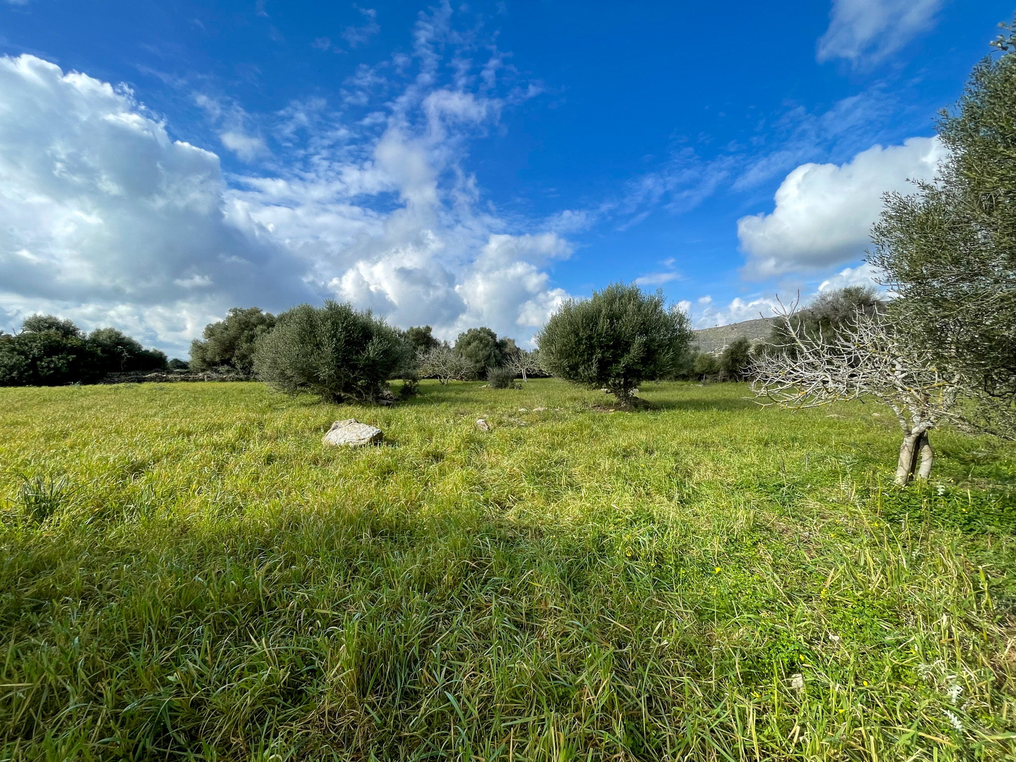 Preciosa finca rústica con impresionantes vistas en las afueras de la ciudad de Capdepera.