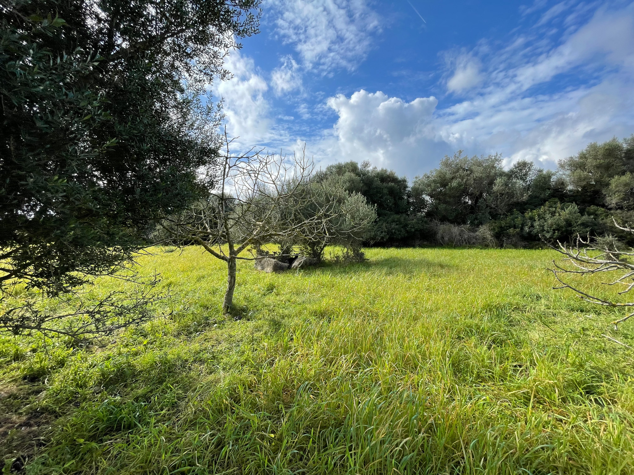 Preciosa finca rústica con impresionantes vistas en las afueras de la ciudad de Capdepera.