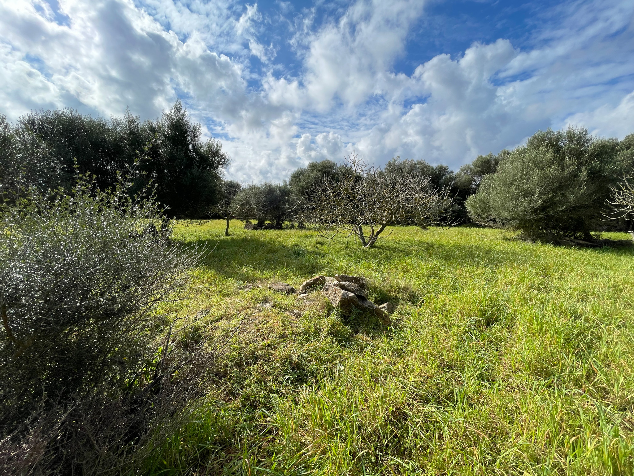 Preciosa finca rústica con impresionantes vistas en las afueras de la ciudad de Capdepera.
