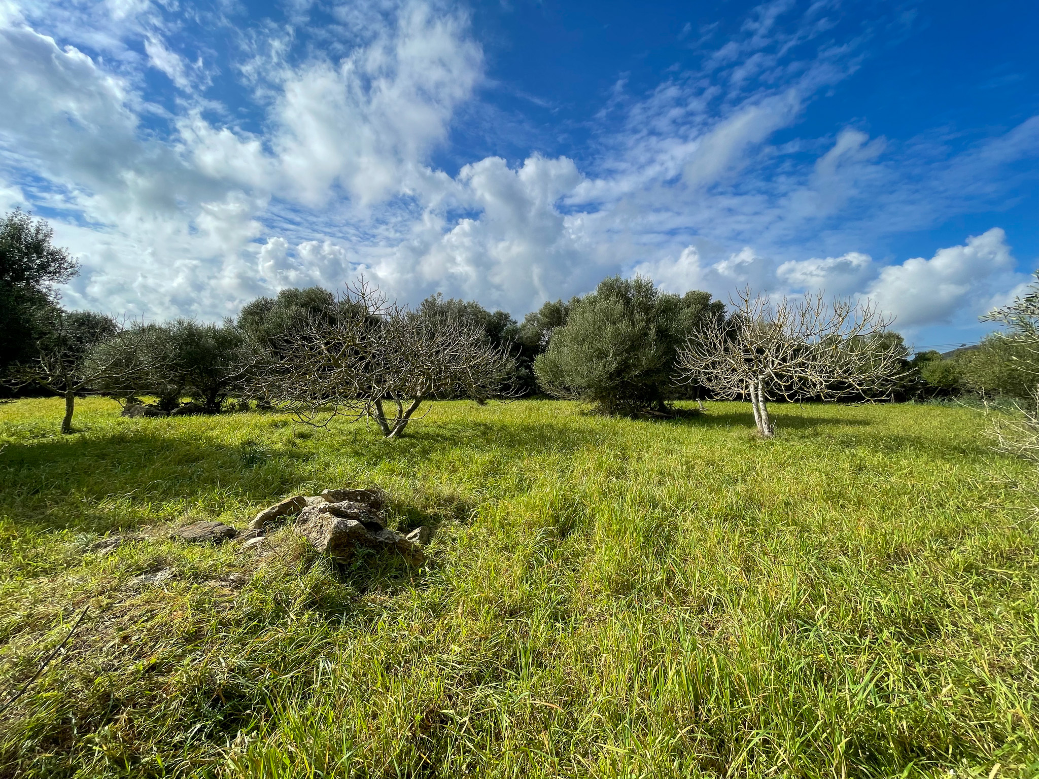 Preciosa finca rústica con impresionantes vistas en las afueras de la ciudad de Capdepera.