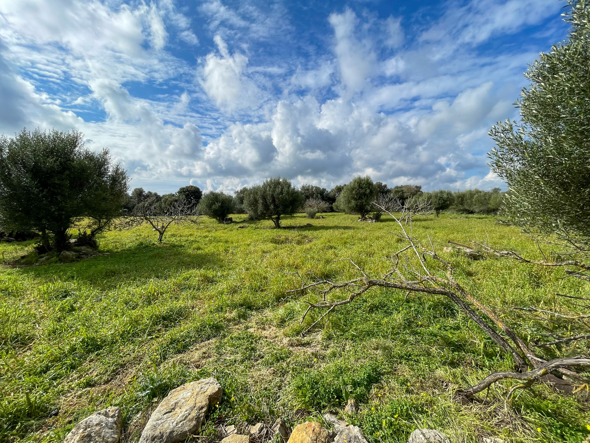 Preciosa finca rústica con impresionantes vistas en las afueras de la ciudad de Capdepera.