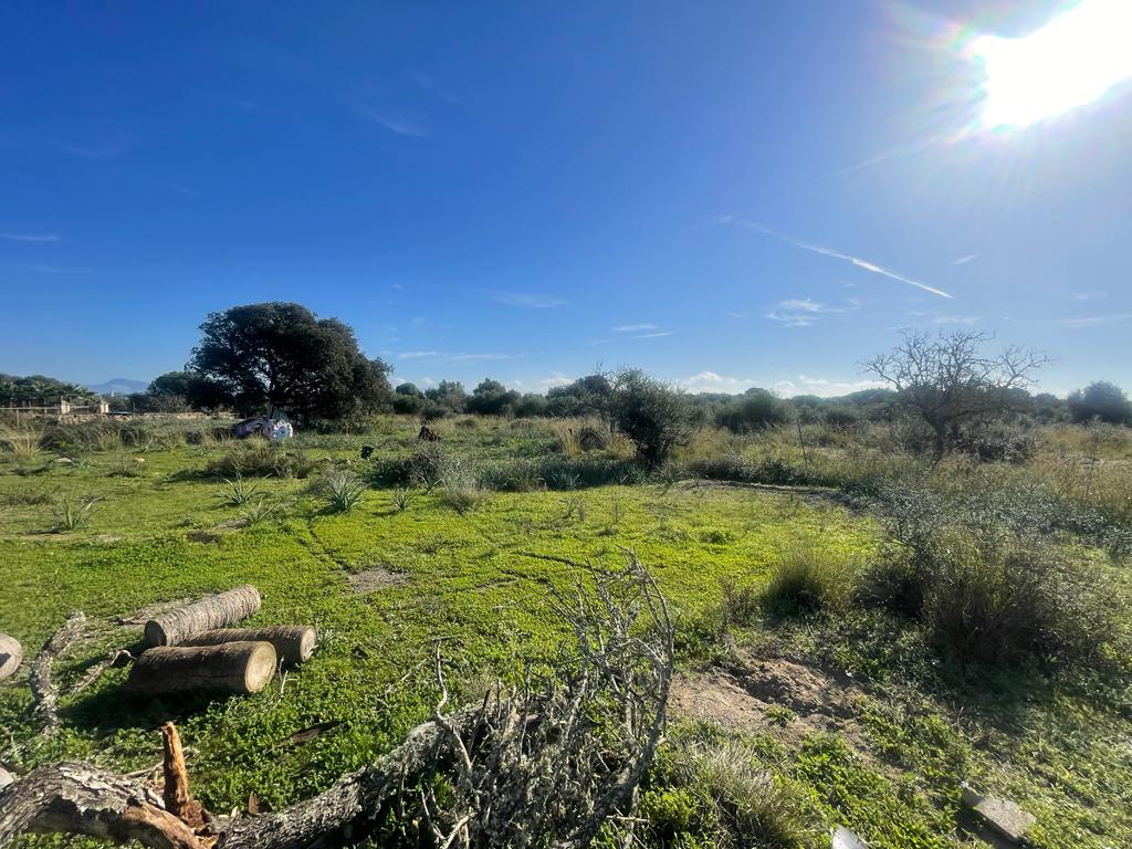 Hermosa finca con vistas despejadas en Santa Margarita.