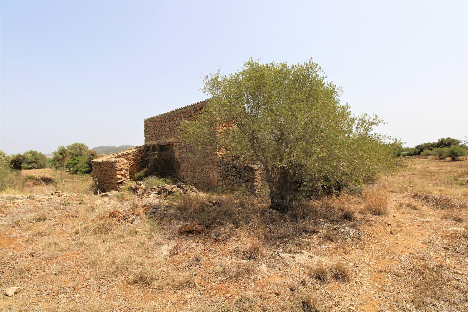 Bonita Finca rustica cerca del Pueblo de Arta.