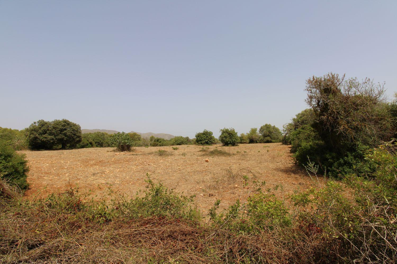 Bonita Finca rustica cerca del Pueblo de Arta.