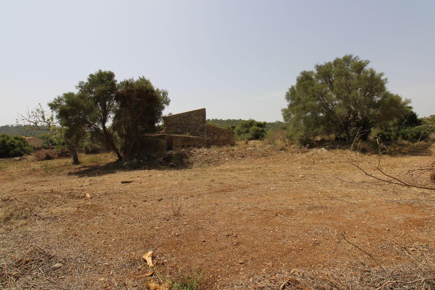 Bonita Finca rustica cerca del Pueblo de Arta.