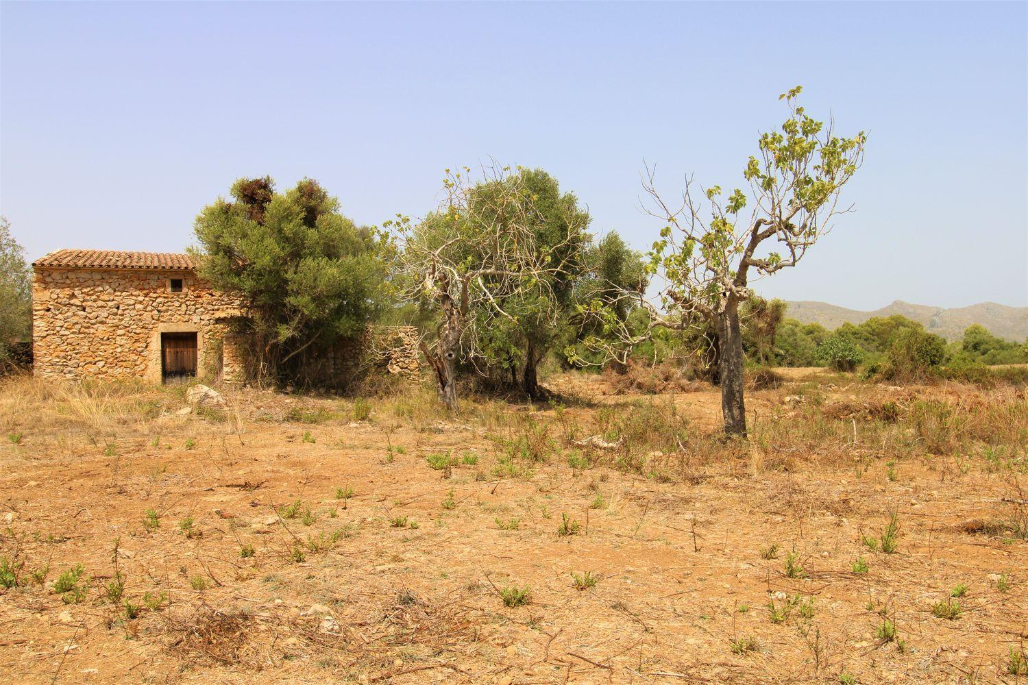 Bonita Finca rustica cerca del Pueblo de Arta.