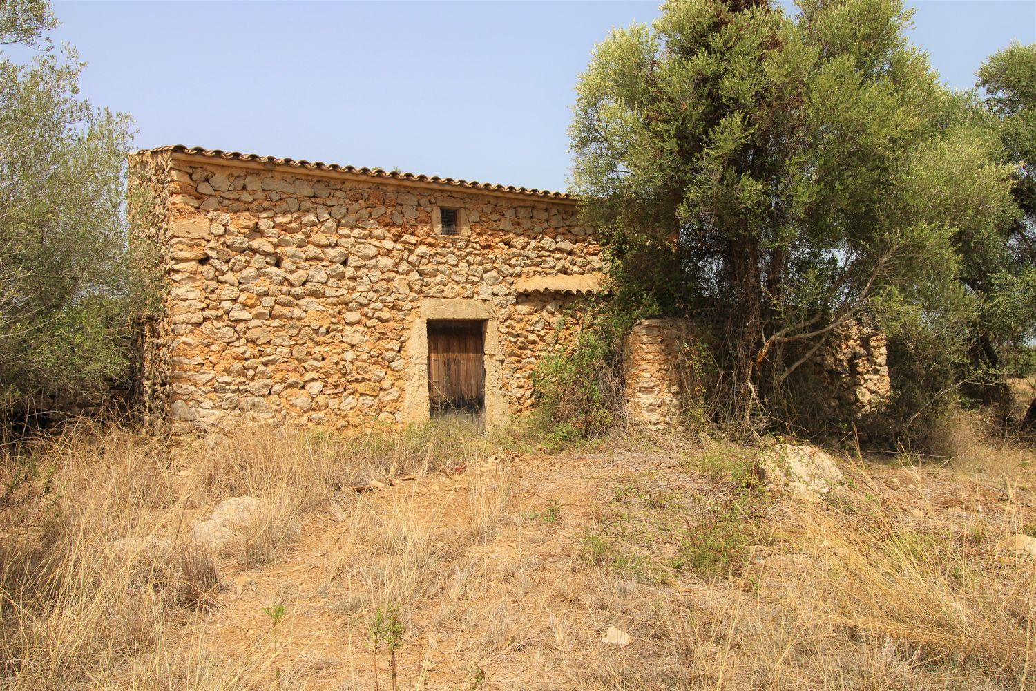 Bonita Finca rustica cerca del Pueblo de Arta.