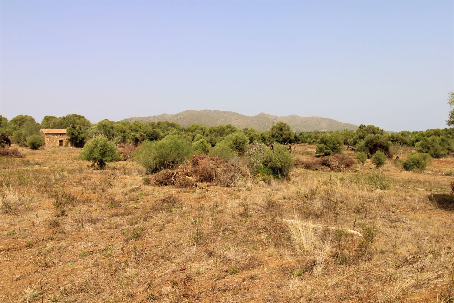 Bonita Finca rustica cerca del Pueblo de Arta.