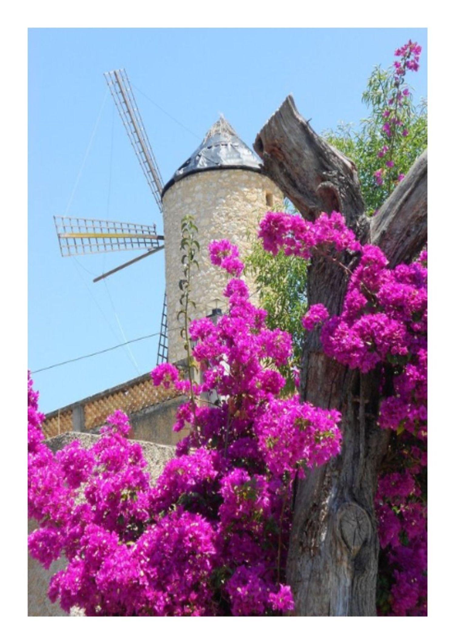 Moulin historique avec vue et nombreuses possibilités, Capdepera