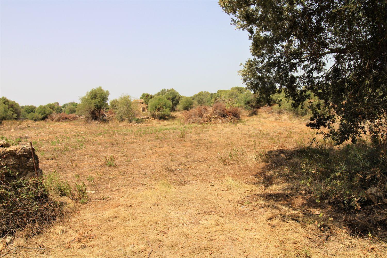 Bonita Finca rustica cerca del Pueblo de Arta.